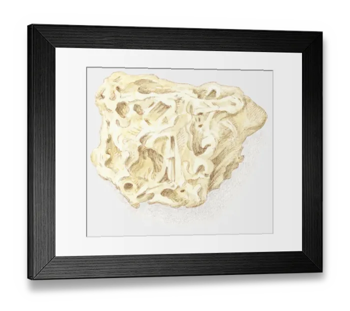 Framed Print : Illustration of tufa rock Framed Print : Illustration of tufa rock