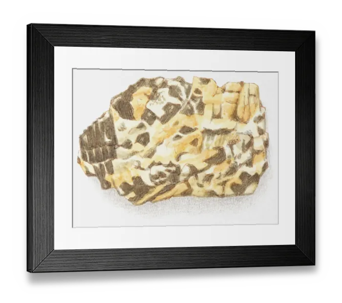 Framed Print : Illustration of pegmatite Framed Print : Illustration of pegmatite