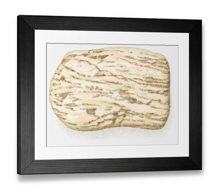 Framed Print : Illustration of gneiss Framed Print : Illustration of gneiss