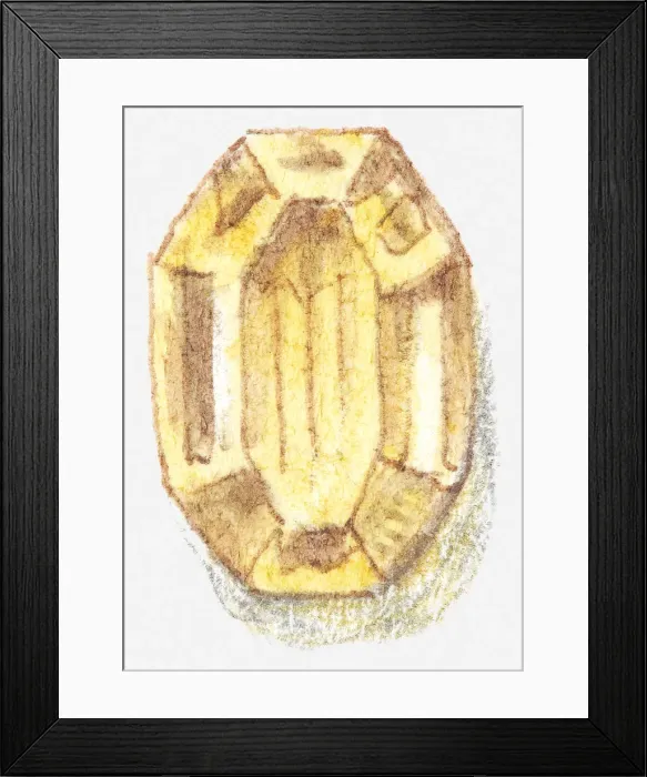 Framed Print : Illustration of cut beryl Framed Print : Illustration of cut beryl