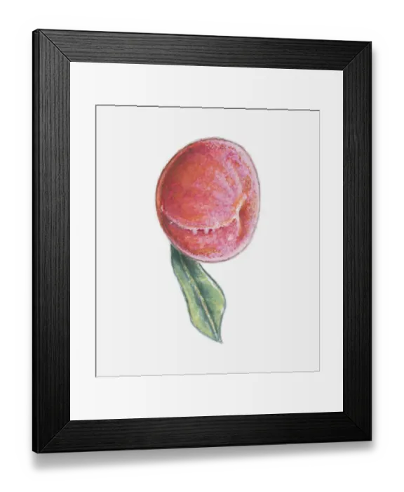 Framed Print : Illustration of a red peach with leaf Framed Print : Illustration of a red peach with leaf