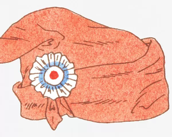 Illustration of Bonnet rouge (Phrygian cap)