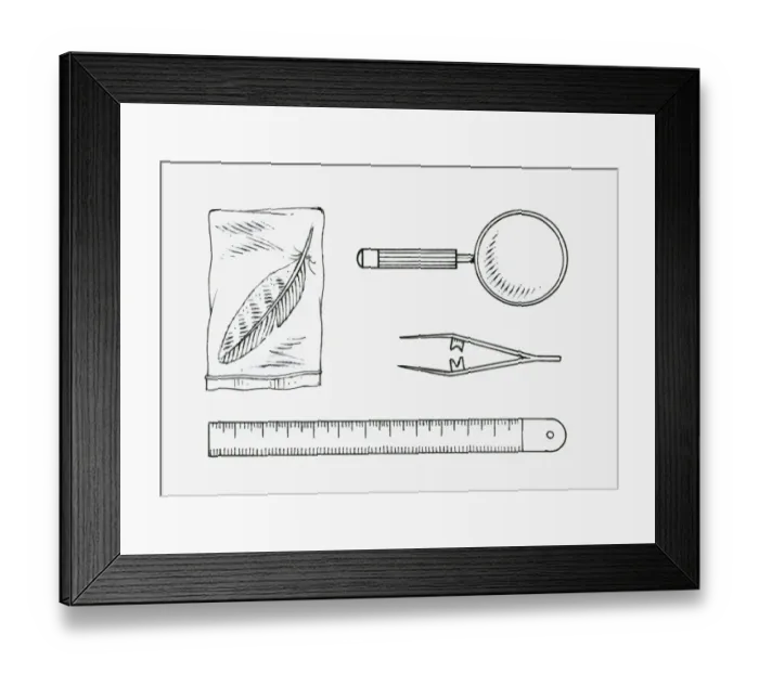 Framed Print : Black and white illustration of a feather in a sealed bag, a magnifying glass, a pair of tweezers, a ruler Framed Print : Black and white illustration of a feather in a sealed bag, a magnifying glass, a pair of tweezers, a ruler