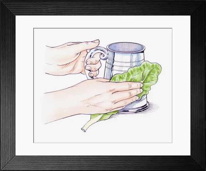 Framed Print : Illustration of hands rubbing a pewter jug with a cabbage leaf to clean it