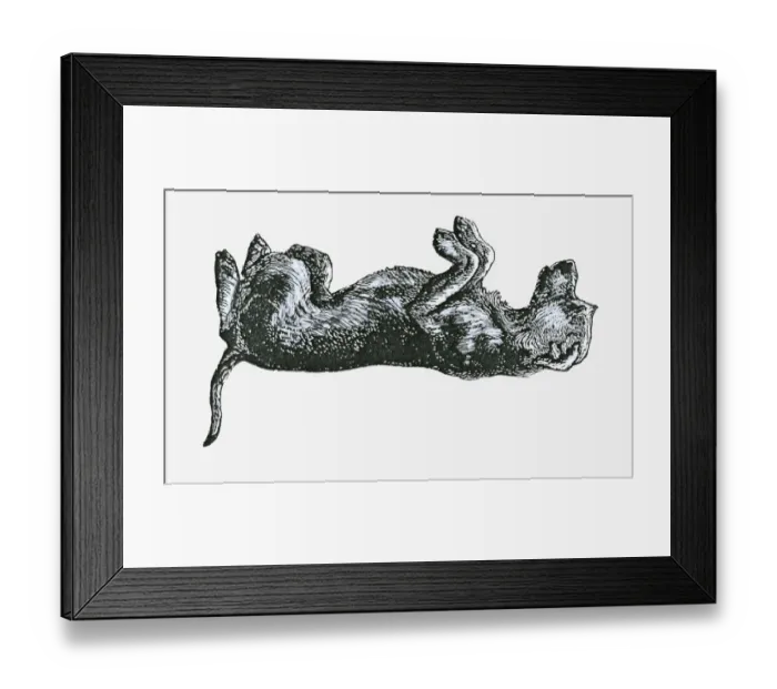 Framed Print : Black and white illustration of a dog in submissive position Framed Print : Black and white illustration of a dog in submissive position