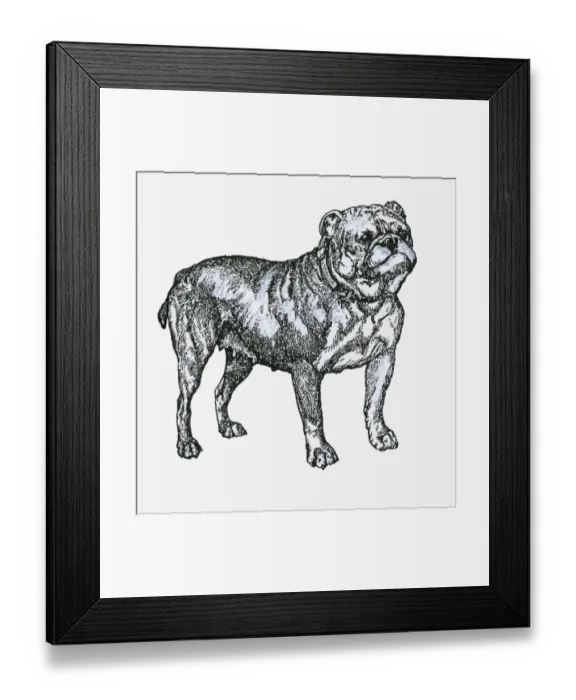 Framed Print : Black and white illustration of a bulldog Framed Print : Black and white illustration of a bulldog
