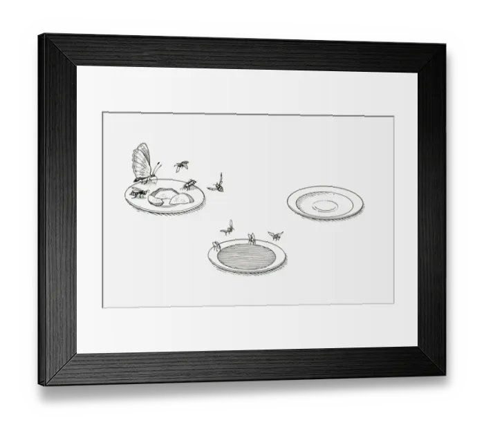Framed Print : Black and white illustration of three saucers showing how different types of food attract different insects Framed Print : Black and white illustration of three saucers showing how different types of food attract different insects