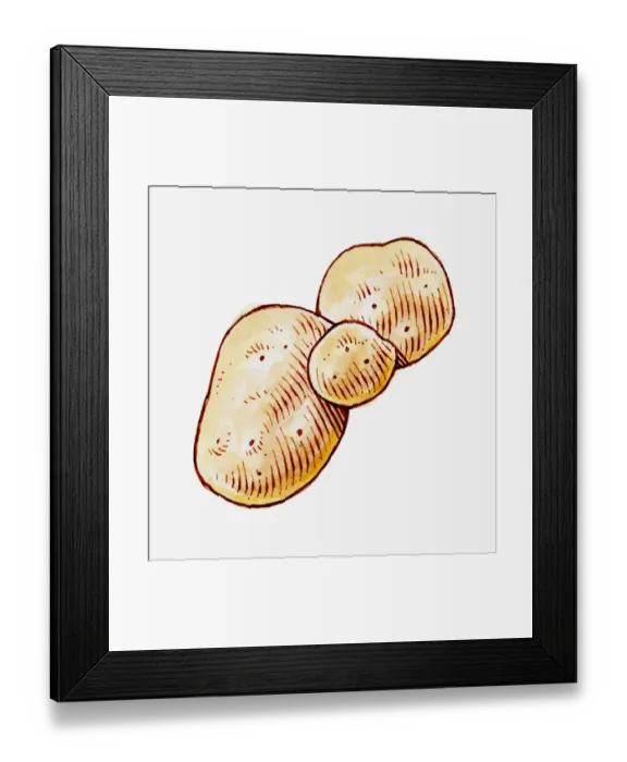 Framed Print : Illustration of large, medium and small raw Solanum tuberosum (Potato) Framed Print : Illustration of large, medium and small raw Solanum tuberosum (Potato)