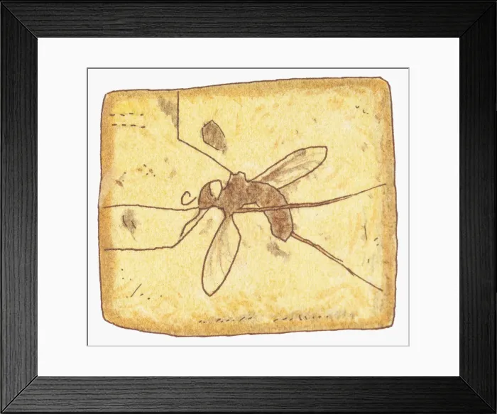 Framed Print : Illustration of fly inside amber Framed Print : Illustration of fly inside amber