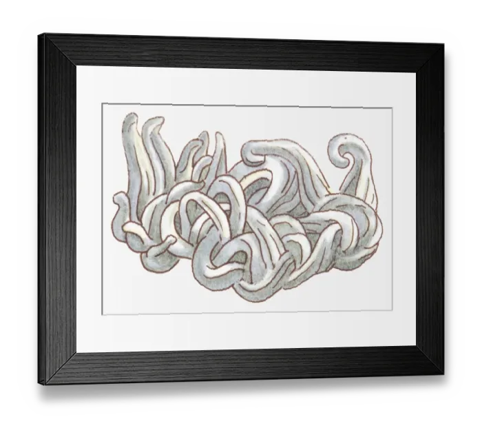 Framed Print : Illustration of silver ore Framed Print : Illustration of silver ore