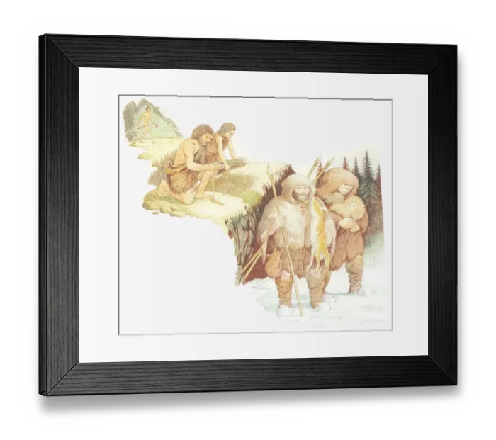 Framed Print : Illustration of development of man from from Homo habilis to Homo erectus to Homo sapien Framed Print : Illustration of development of man from from Homo habilis to Homo erectus to Homo sapien