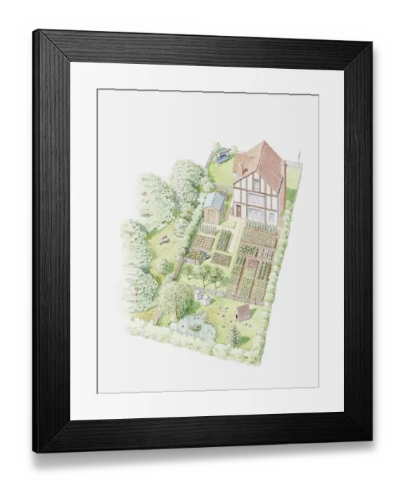 Framed Print : Illustration of a garden farm, showing land being used for fruit, vegetables and livestock Framed Print : Illustration of a garden farm, showing land being used for fruit, vegetables and livestock