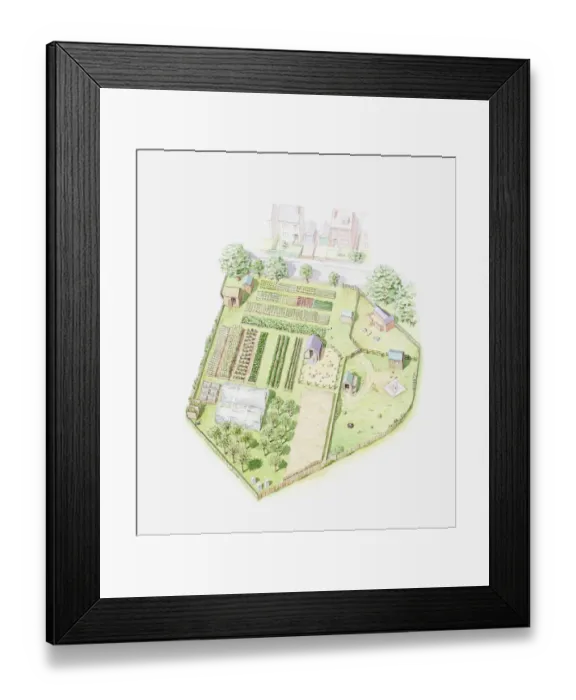 Framed Print : Illustration of a small home farm, showing land divided up to farm crops and livestock Framed Print : Illustration of a small home farm, showing land divided up to farm crops and livestock