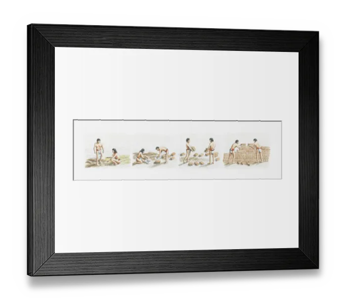 Framed Print : Illustration of Moche people constructing temple-pyramid using adobe bricks Framed Print : Illustration of Moche people constructing temple-pyramid using adobe bricks
