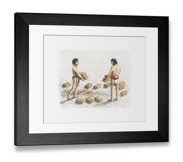 Framed Print : Illustration of Moche people constructing temple-pyramid using adobe bricks Framed Print : Illustration of Moche people constructing temple-pyramid using adobe bricks