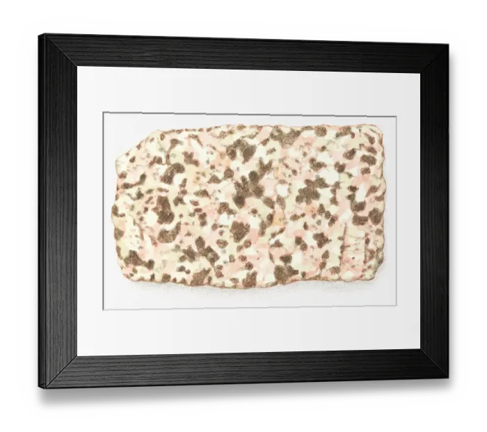 Framed Print : Illustration of a piece granite made up from the minerals quartz, feldspar and mica