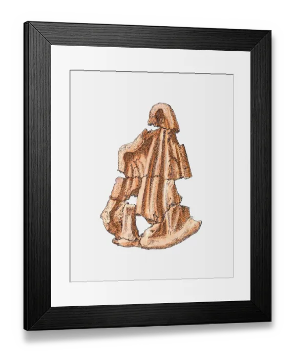 Framed Print : Illustration of fragments of Ancient Greek terracotta mould Framed Print : Illustration of fragments of Ancient Greek terracotta mould
