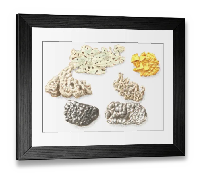 Framed Print : Illustration of copper, gold, silver, haematite (iron ore) coal, and lead Framed Print : Illustration of copper, gold, silver, haematite (iron ore) coal, and lead