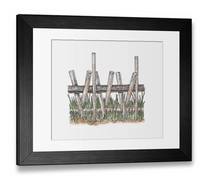 Framed Print : Illustration of ancient raised walkway over reed swamps, Sweet Track, Somerset, England Framed Print : Illustration of ancient raised walkway over reed swamps, Sweet Track, Somerset, England