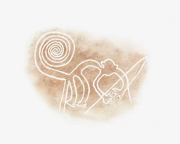 Illustration of Nazca Line monkey drawing in desert sand, Nazca Lines, Nazca, Peru