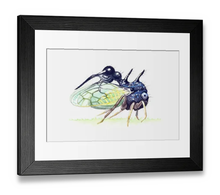 Framed Print : Illustration of Treehopper showing thorn-like pronotum