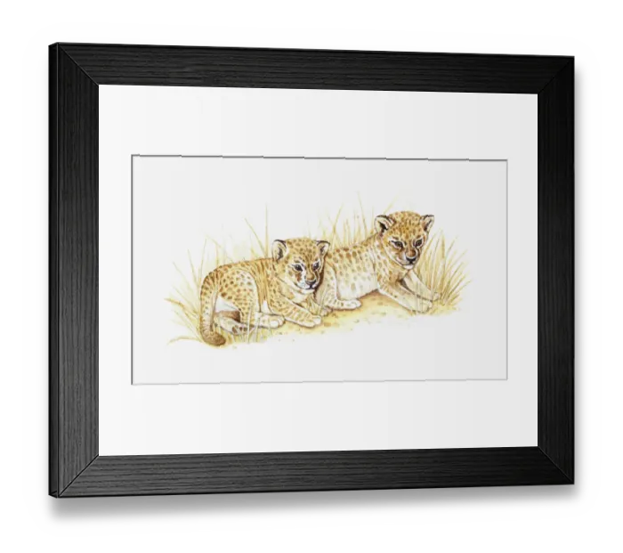 Framed Print : Illustration of two lion cubs in dry grass Framed Print : Illustration of two lion cubs in dry grass