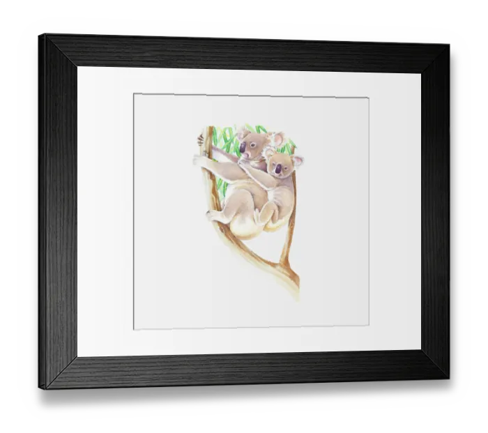 Framed Print : Illustration of female Koala (Phascolarctos cinereus) in Eucalyptus tree with baby on back