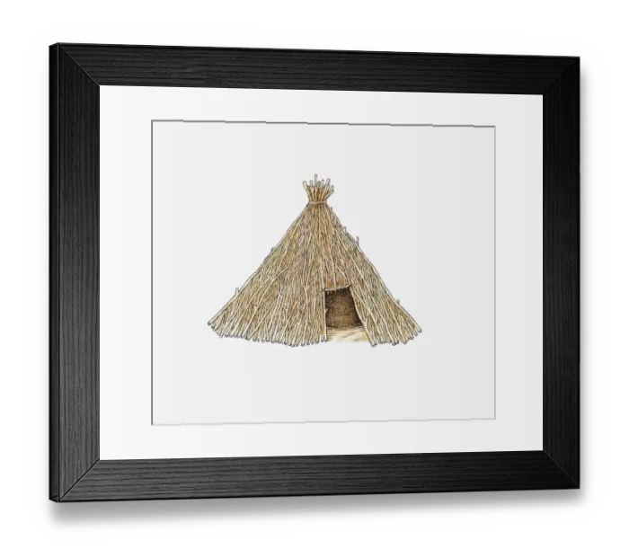 Framed Print : Illustration of hut made from sticks, Kalahari region, southern Africa Framed Print : Illustration of hut made from sticks, Kalahari region, southern Africa