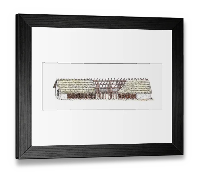 Framed Print : Cross section illustration of timber longhouse with thatched roof, Bylany, Moravia, Czech Republic