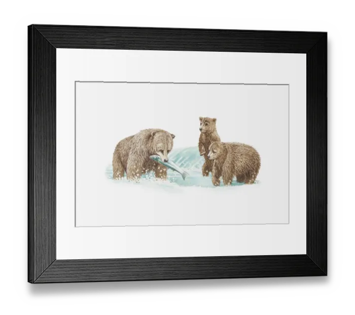 Framed Print : Illustration of brown bear catching fish and two young bears looking on Framed Print : Illustration of brown bear catching fish and two young bears looking on