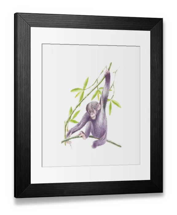 Framed Print : Illustration of baby chimpanzee holding onto a branch Framed Print : Illustration of baby chimpanzee holding onto a branch