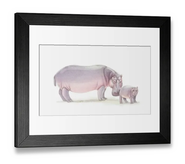Framed Print : Illustration of adult hippo and baby hippo Framed Print : Illustration of adult hippo and baby hippo