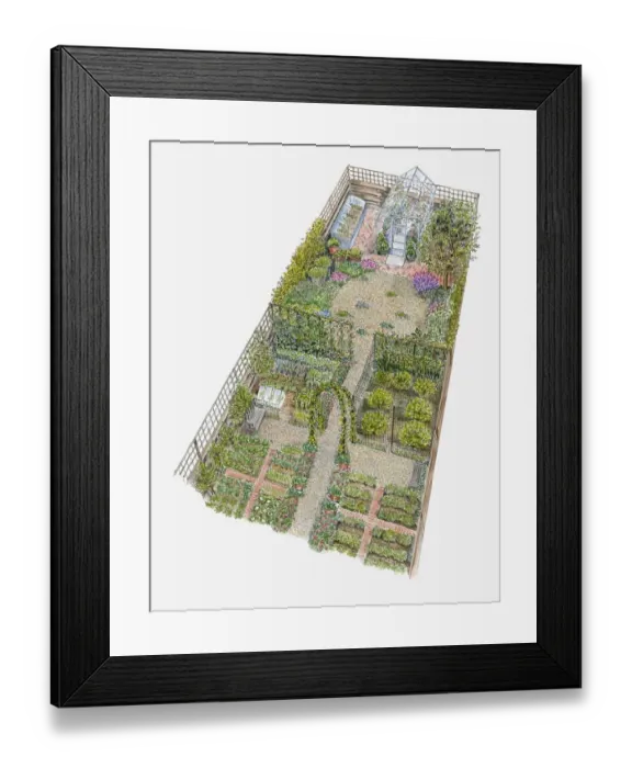 Framed Print : Illustration of a garden containing greenhouse and herb garden