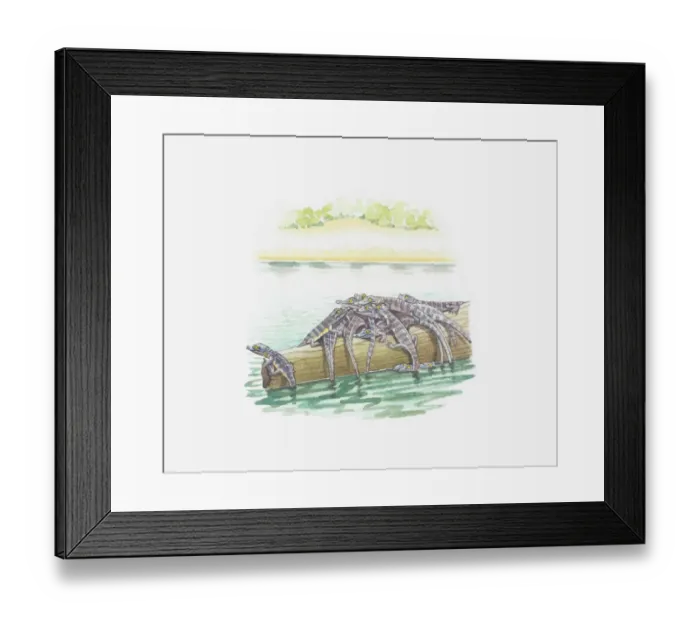 Framed Print : Illustration of baby crocodiles on log