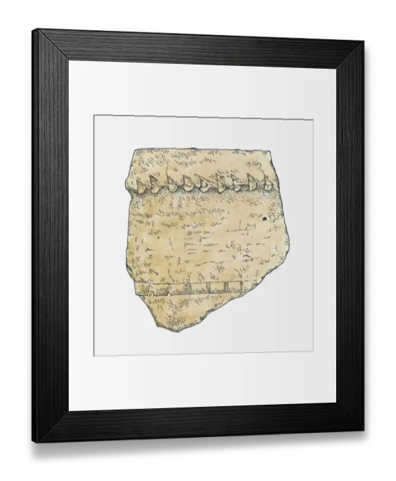 Framed Print : Illustration of a Lapita shard, Polynesia Framed Print : Illustration of a Lapita shard, Polynesia