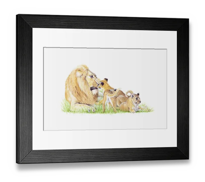Framed Print : Illustration of lion with cubs Framed Print : Illustration of lion with cubs