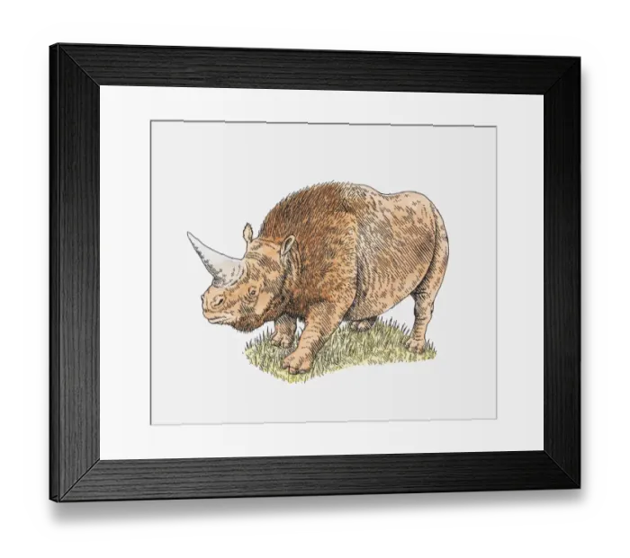 Framed Print : Illustration of a rhinoceros Framed Print : Illustration of a rhinoceros