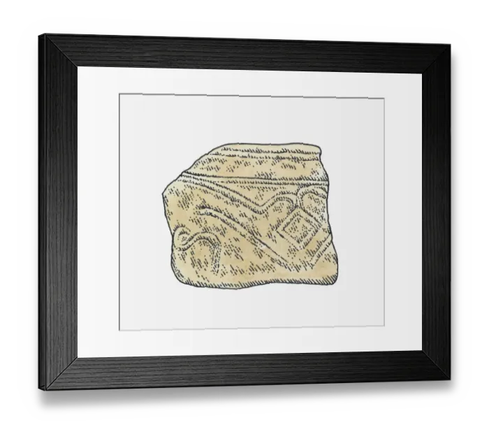 Framed Print : Illustration of a Lapita shard, Polynesia Framed Print : Illustration of a Lapita shard, Polynesia