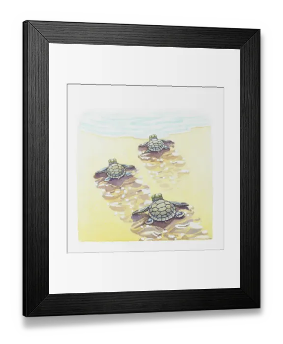 Framed Print : Illustration of baby sea turtles making their way to the water Framed Print : Illustration of baby sea turtles making their way to the water