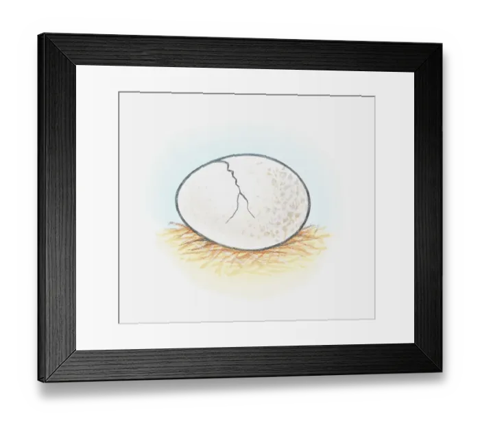 Framed Print : Illustration of egg shell showing crack