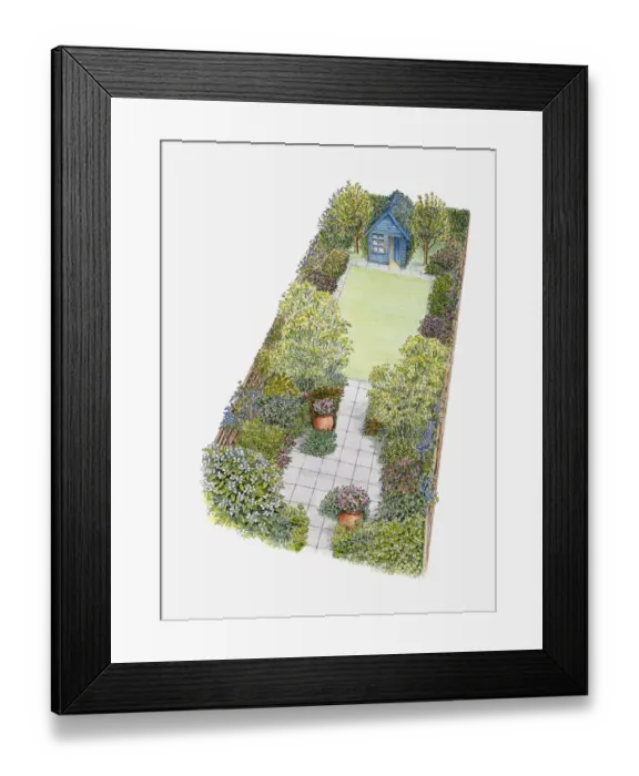 Framed Print : Illustration of a garden containing shed, patio area, lawn, shrubs and containers Framed Print : Illustration of a garden containing shed, patio area, lawn, shrubs and containers