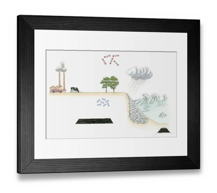 Framed Print : Illustration of carbon cycle on Earth Framed Print : Illustration of carbon cycle on Earth
