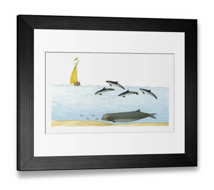 Framed Print : Illustration of Northern Bottlenose Whale swimming deep underwater, and Atlantic White-sided Dolphins diving closer to the surface with ship in background Framed Print : Illustration of Northern Bottlenose Whale swimming deep underwater, and Atlantic White-sided Dolphins diving closer to the surface with ship in background