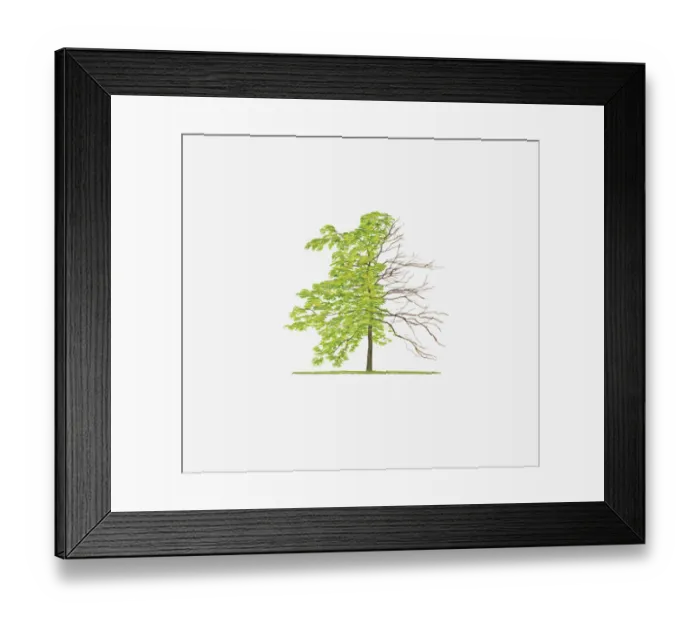 Framed Print : black, yellow and blue poison dart frog (dendrobates ventrimaculatus) sitting on the edge of a drinking glass Framed Print : black, yellow and blue poison dart frog (dendrobates ventrimaculatus) sitting on the edge of a drinking glass