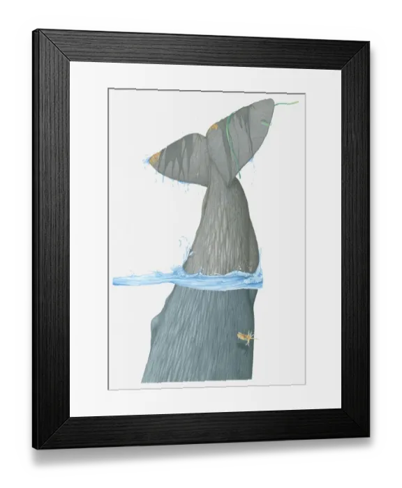 Framed Print : Illustration of tail fin of Sperm Whale (Physeter macrocephalus) as it dives in water