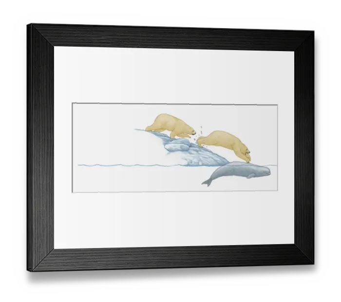 Framed Print : Illustration of polar bear jumping from ice pack onto beluga whale trapped under the ice Framed Print : Illustration of polar bear jumping from ice pack onto beluga whale trapped under the ice