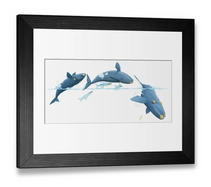 Framed Print : Illustration of whales and flying fish breaching