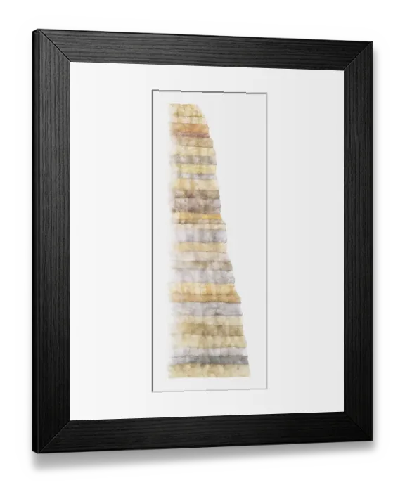 Framed Print : Illustration of layers of Earth showing age from devonian, carboniferous, permian, triassic, jurassic, and cretaceous Framed Print : Illustration of layers of Earth showing age from devonian, carboniferous, permian, triassic, jurassic, and cretaceous