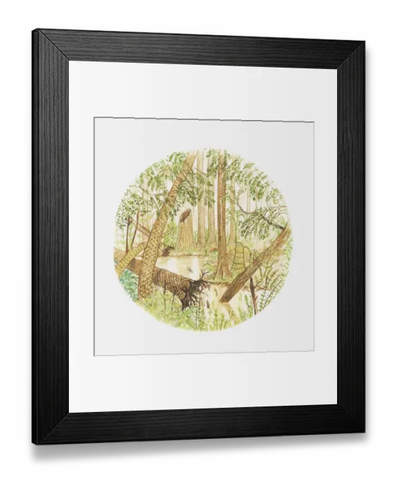 Framed Print : Illustration of swamp flora with uprooted tree Framed Print : Illustration of swamp flora with uprooted tree