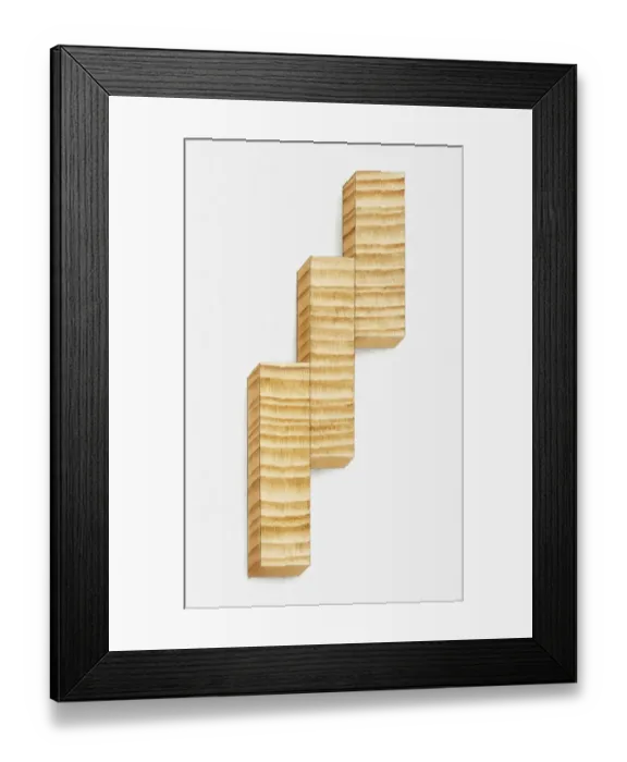 Framed Print : Illustration of sections from a tree trunk showing tree rings Framed Print : Illustration of sections from a tree trunk showing tree rings